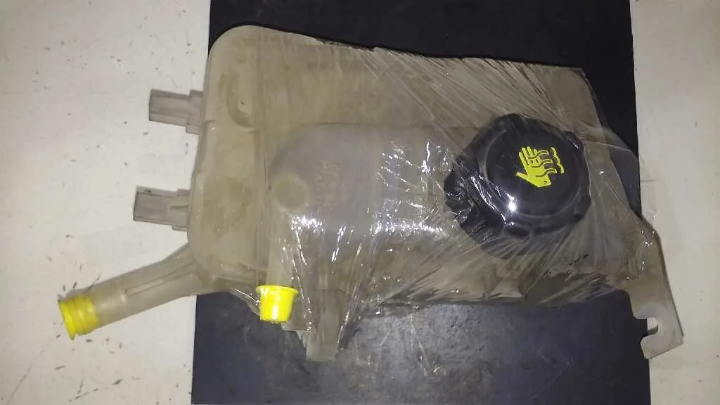 Botella De Expansion para Renault Megane Iii Berlina 5 P