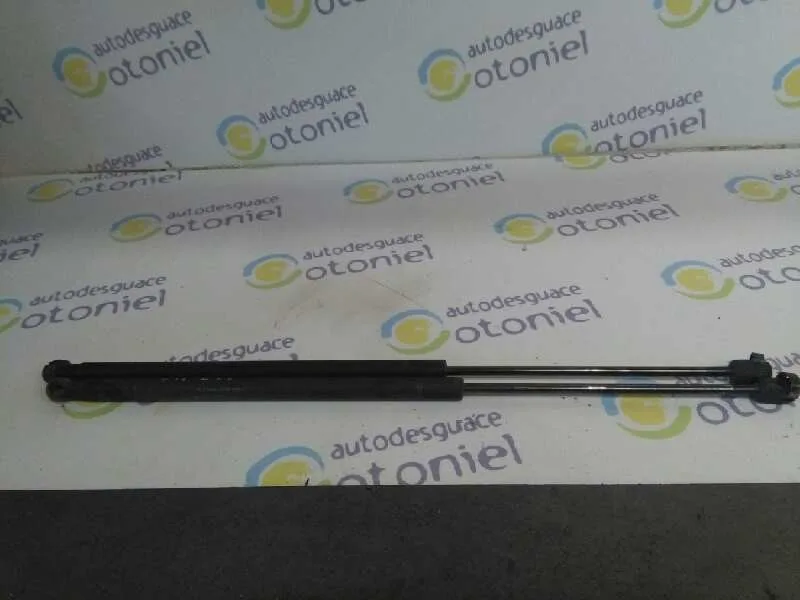 Amortiguadores Maletero / Porton para Ford Fusion (Cbk)