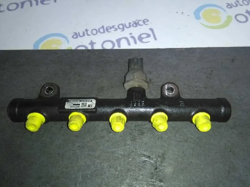 Rampa Inyectora para Peugeot 308 Sw