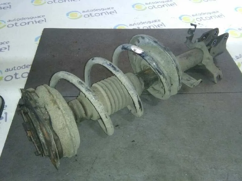 Amortiguador Delantero Izquierdo para Renault Clio Iii