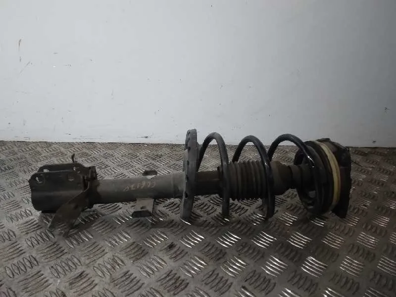 Amortiguador Delantero Izquierdo para Renault Clio Iii