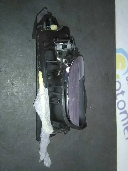 Maneta Interior Trasera Izquierda para Peugeot 307 (S1)