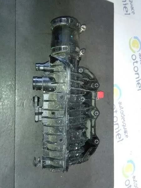 Colector Admision para Ford Focus Lim. (Cb8)