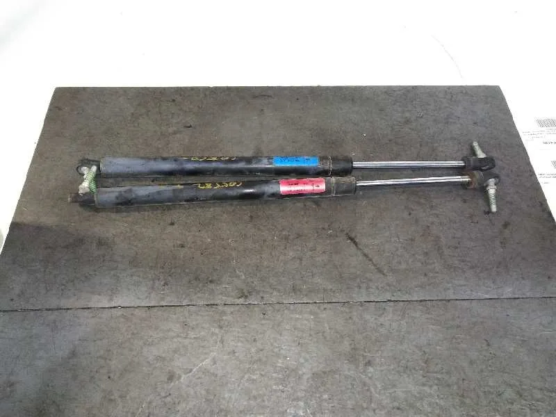 Amortiguadores Maletero / Porton para Chrysler Jeep Gr.cherokee (Wj/Wg)