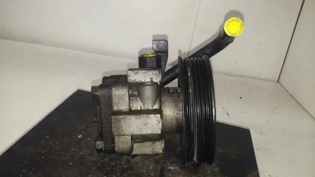 Bomba Direccion para Hyundai Getz (Tb)