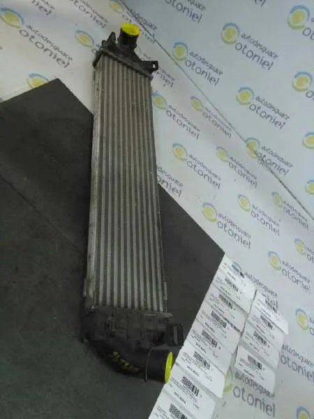 Intercooler para Ford Focus Berlina (Cap)