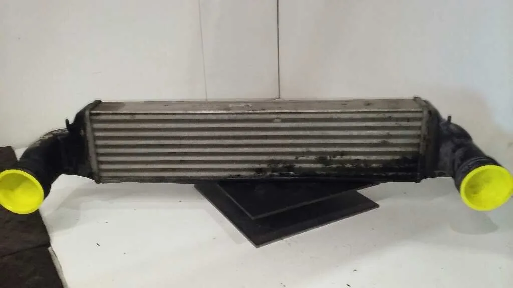 Intercooler para Bmw Serie 3 Berlina (E46)