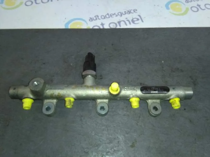 Rampa Inyectora para Peugeot 306 Break