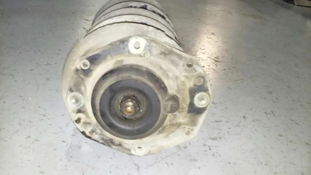 Amortiguador Delantero Izquierdo para Peugeot 306 Berlina 3/4/5 Puertas (S2)