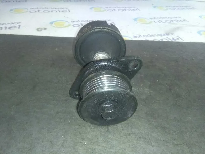 Polea Alternador para Ford Focus Berlina (Cak)