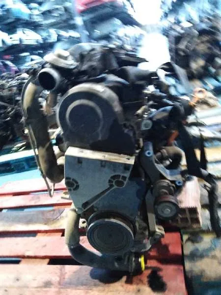 Motor Completo para Seat Ibiza (6L1)
