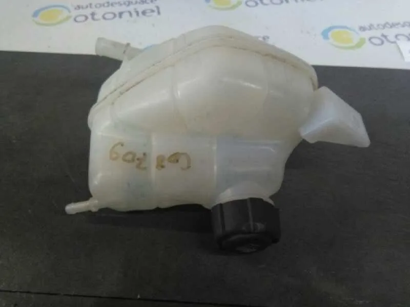 Deposito Expansion para Nissan Qashqai (J11)