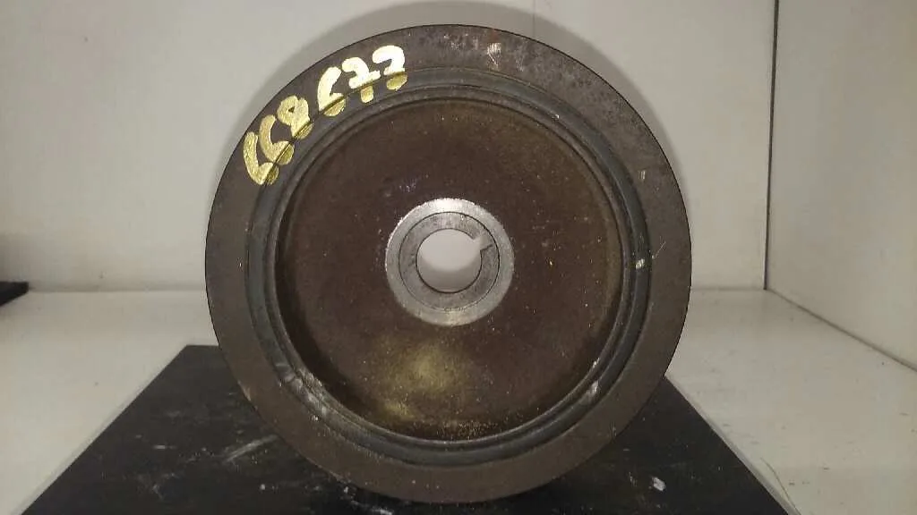 Polea Ciguenal para Kia Sorento