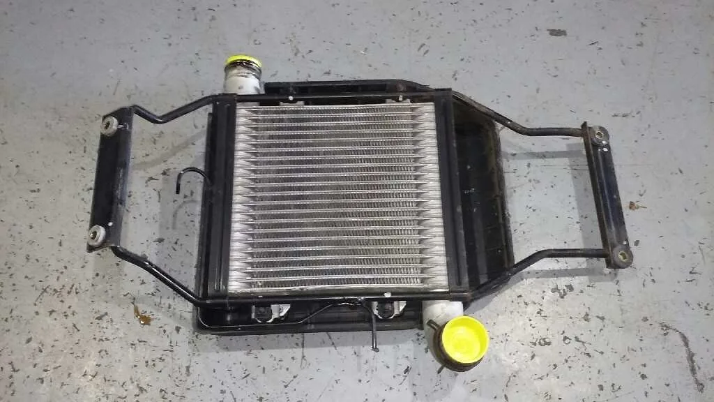 Intercooler para Kia Carens