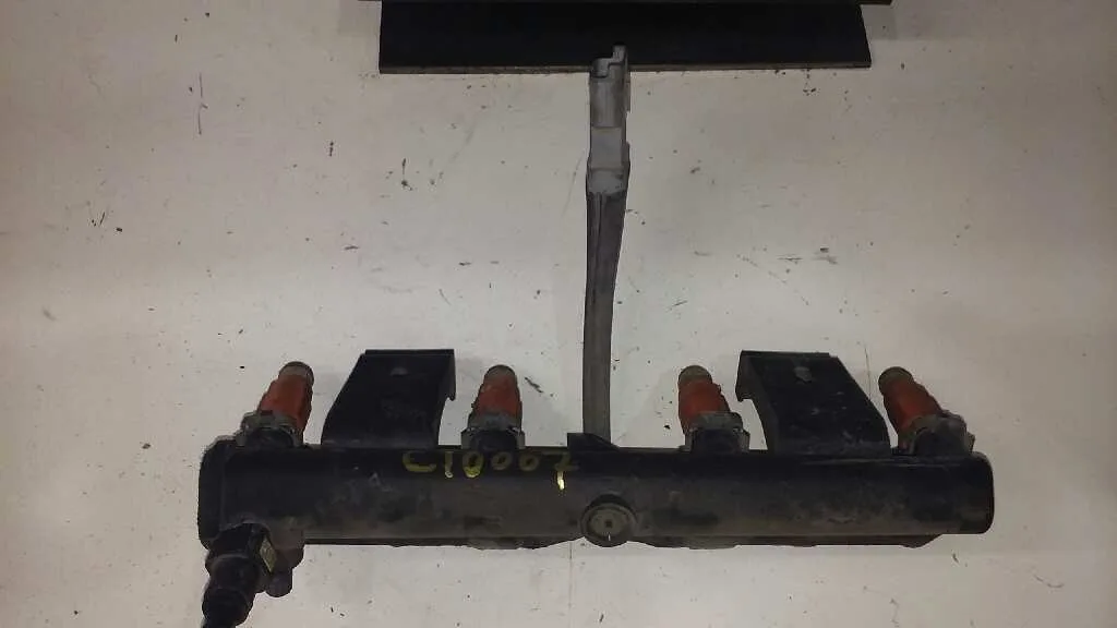 Rampa Inyectora para Peugeot 307 (S1)