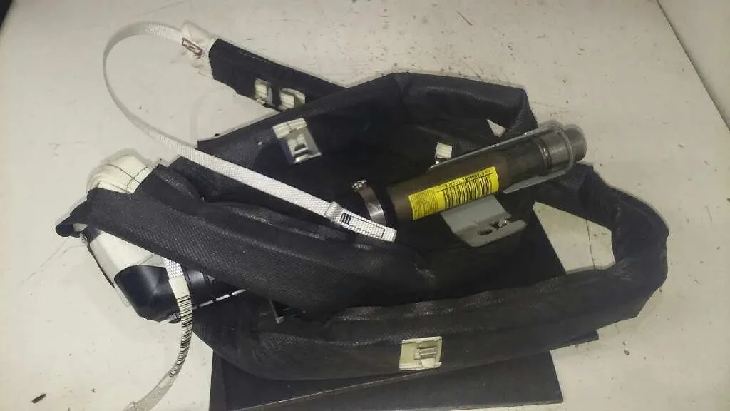 Airbag Cortina Delantero Derecho para Renault Scenic Ii