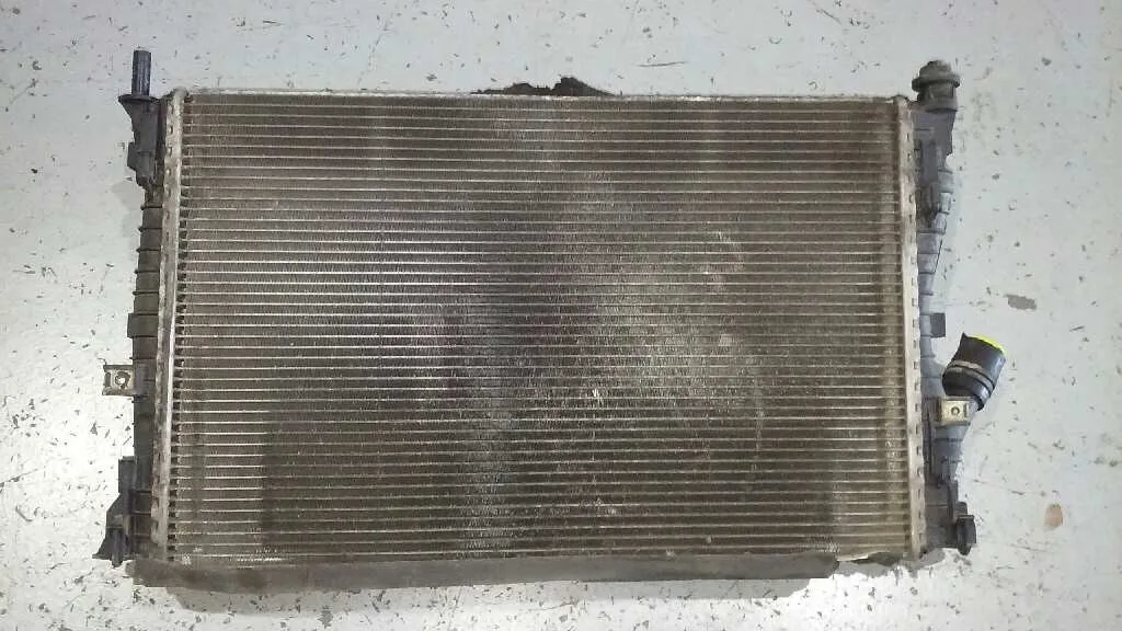 Radiador Agua para Ford Fusion (Cbk)