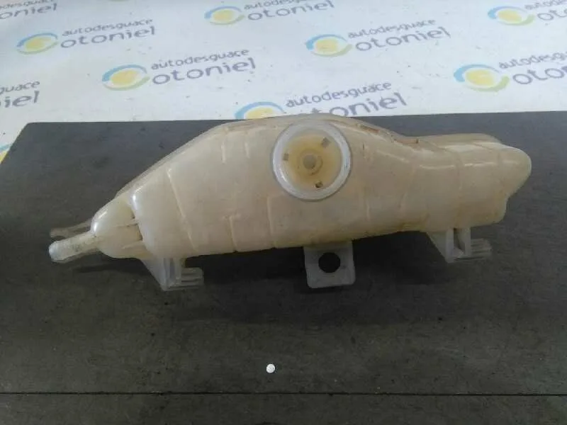 Deposito Expansion para Renault Clio Iii