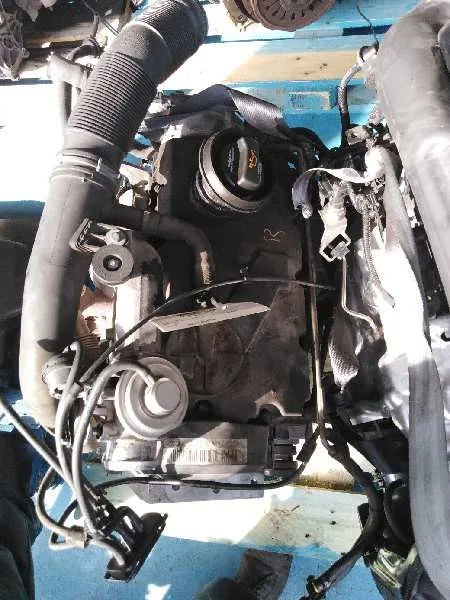 Motor Completo para Seat Ibiza (6L1)