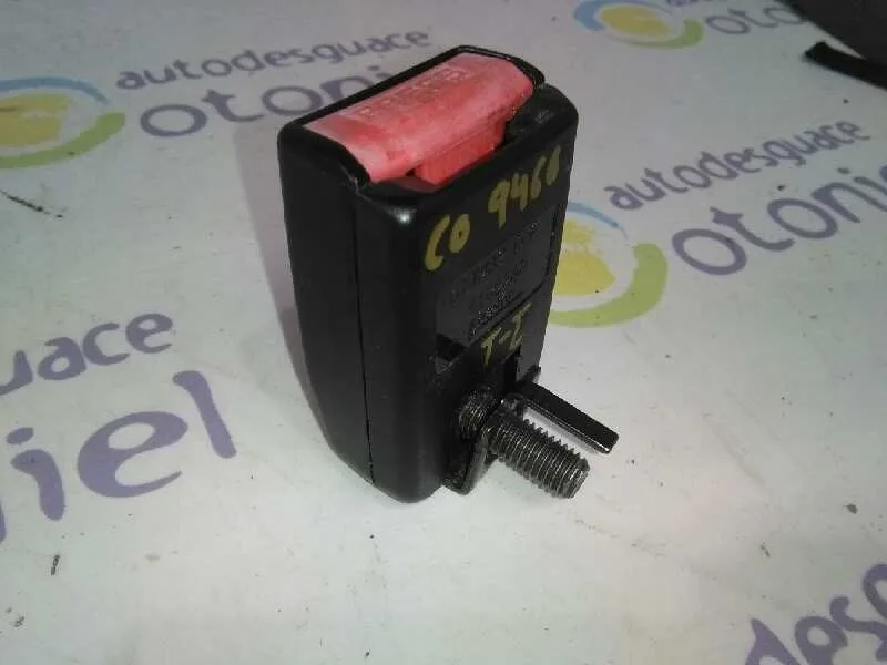 Enganche Cinturon para Renault Grand Scenic