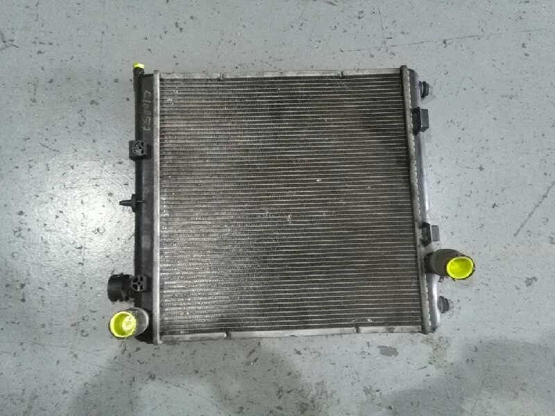 Radiador Agua para Peugeot 207