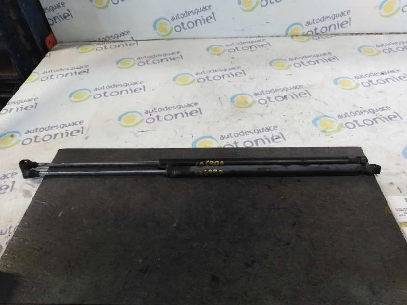 Amortiguadores Maletero / Porton para Fiat Ulysse (179)