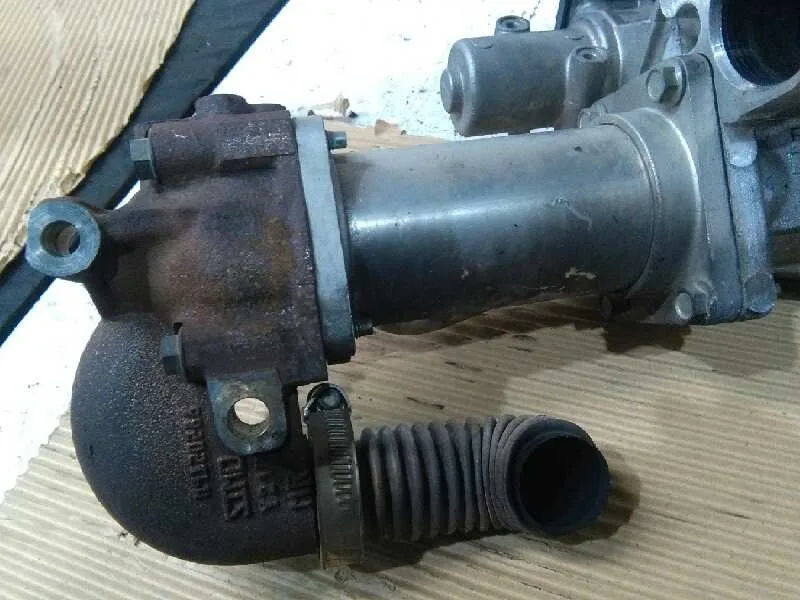 Enfriador Egr para Renault Scenic Ii