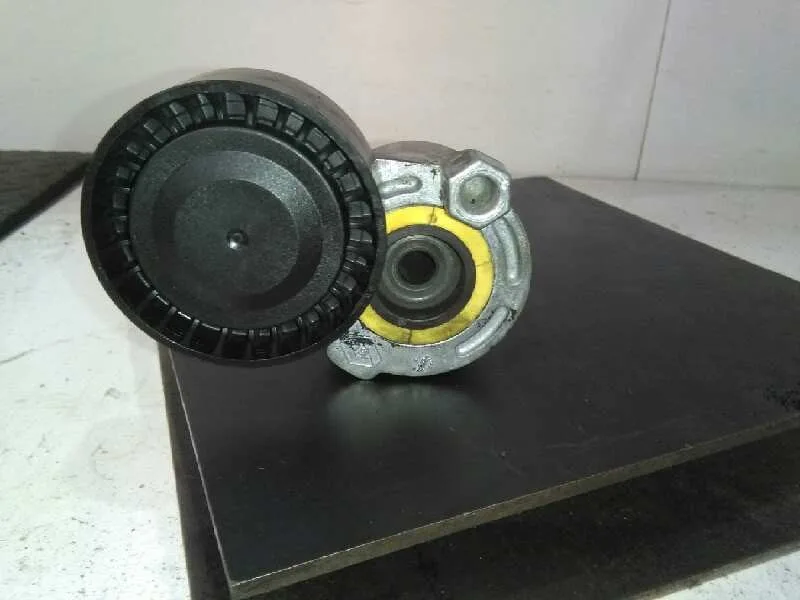 Tensor Correa Auxiliar para Renault Scenic Ii