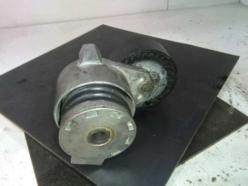 Tensor Correa Auxiliar para Renault Scenic Ii
