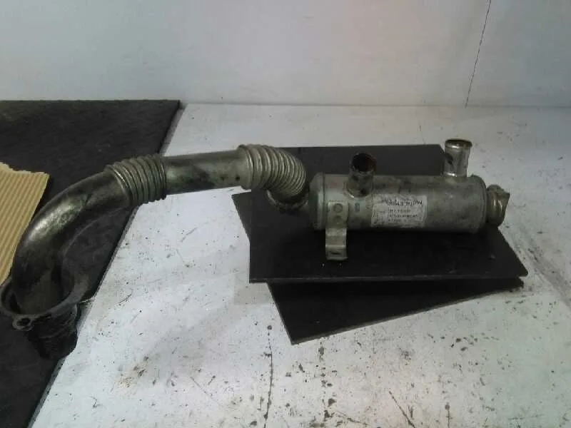 Enfriador Egr para Peugeot 206+