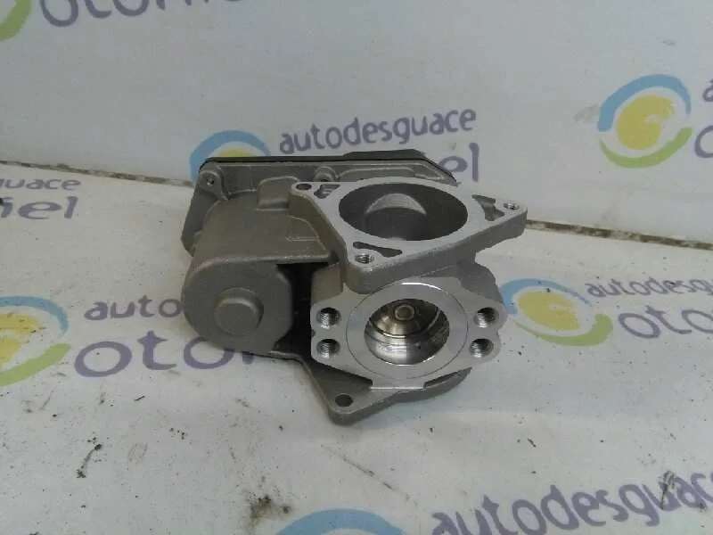 Valvula Egr para Audi A3 (8P)