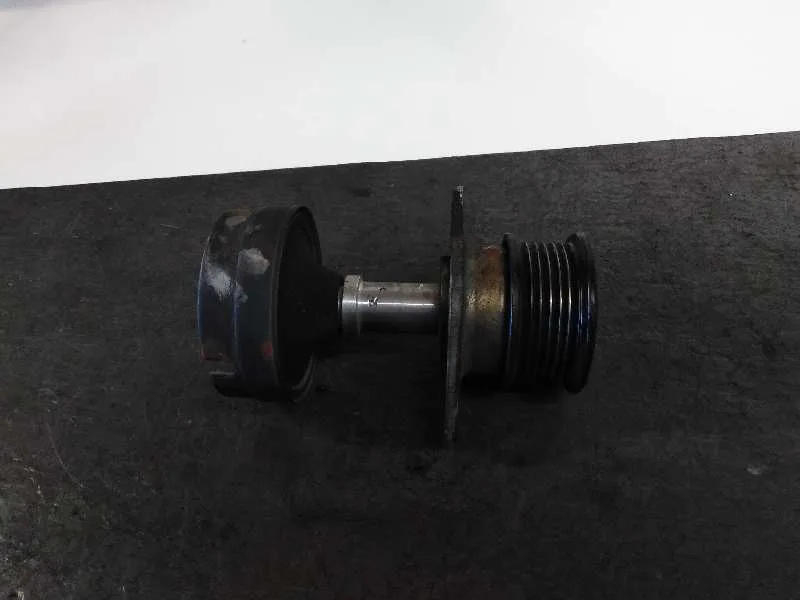 Polea Alternador para Ford Focus Berlina (Cak)