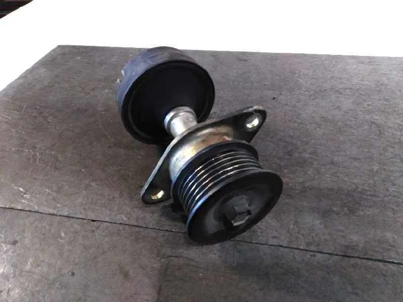 Polea Alternador para Ford Focus Berlina (Cak)