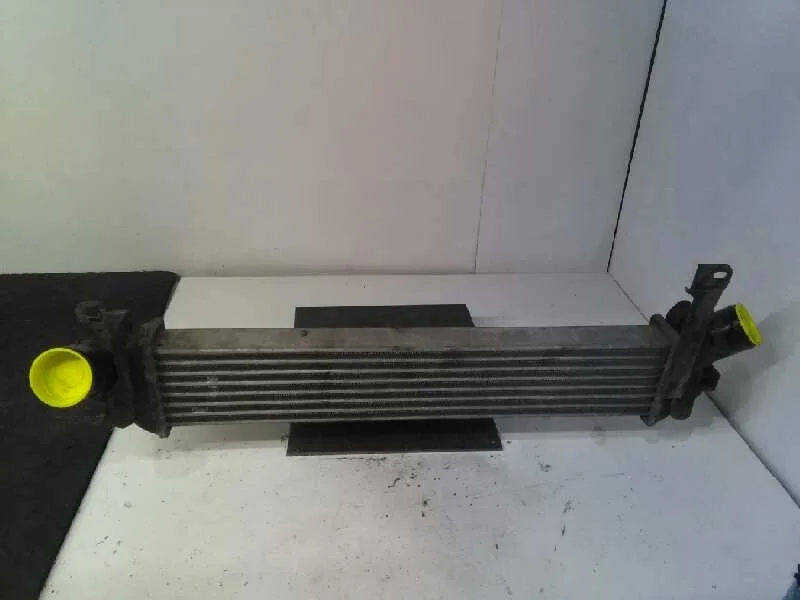 Intercooler para Nissan Kubistar (X76)