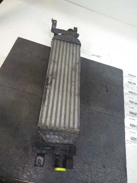 Intercooler para Ford Fiesta (Cbk)