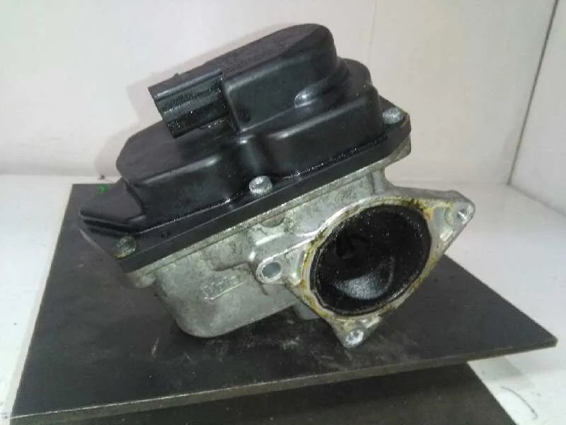 Valvula Egr para Volkswagen Passat Berlina (3C2)