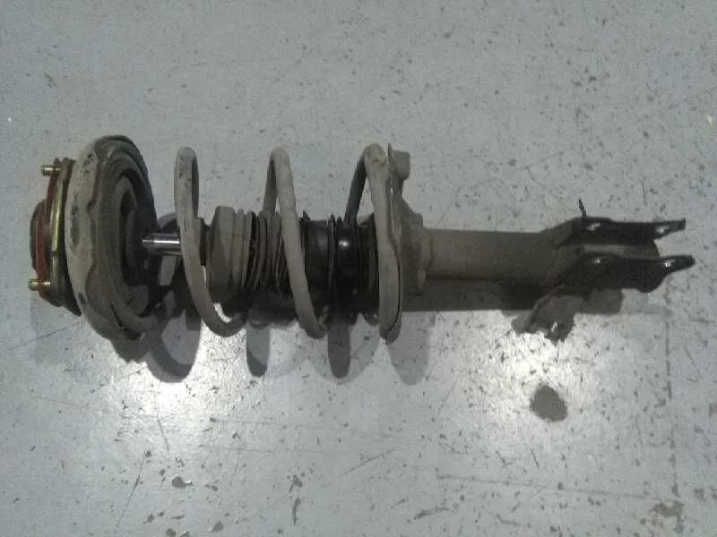 Amortiguador Delantero Izquierdo para Nissan Almera Tino (V10M)
