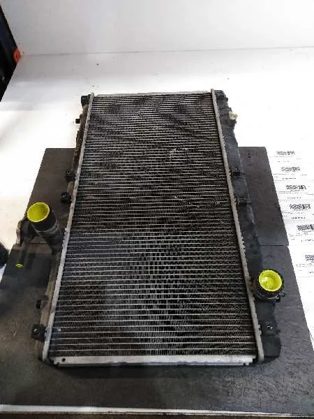 Radiador Agua para Suzuki Liana Rh (Er)