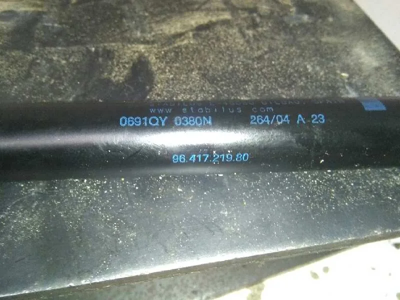 Amortiguadores Capo para Citroën C2
