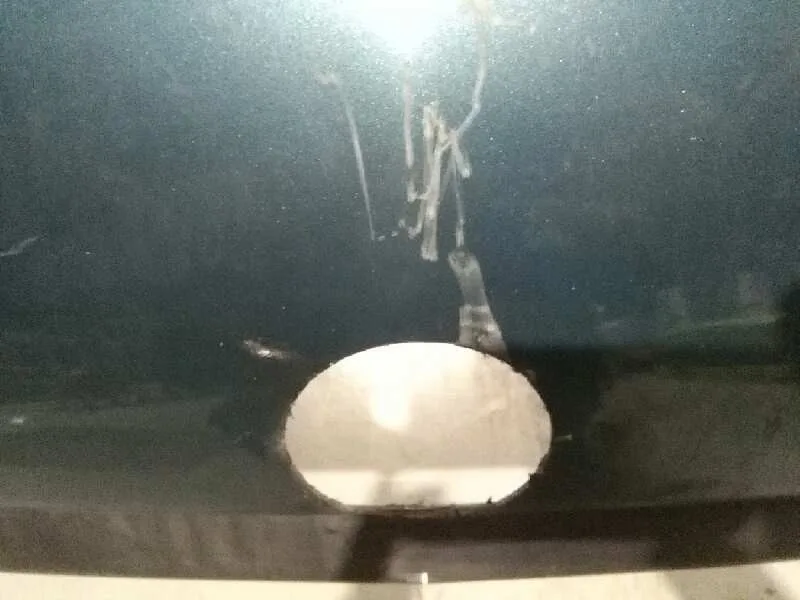 Paragolpes Trasero para Nissan Primera Berlina (P12)
