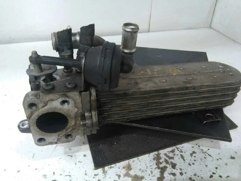 Enfriador Egr para Volkswagen Passat Berlina (3C2)