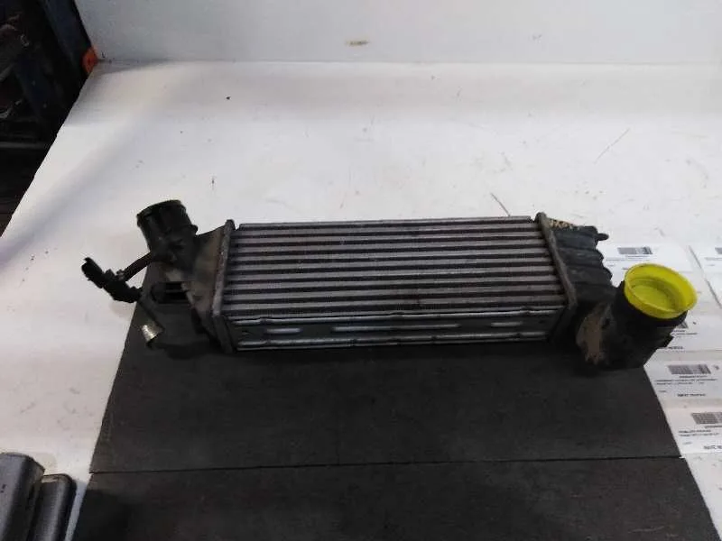 Intercooler para Peugeot 807