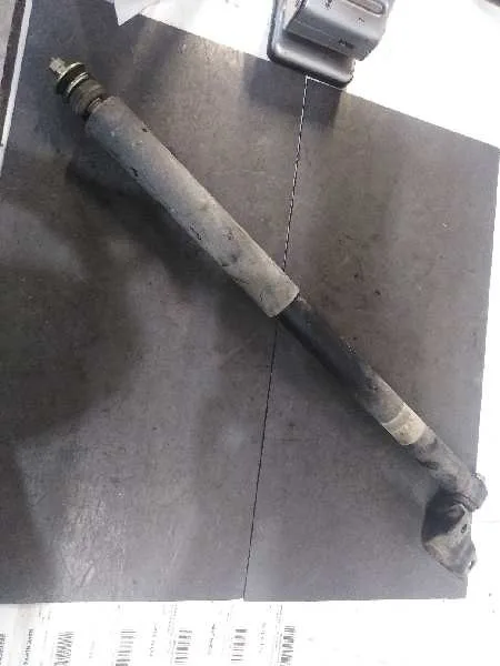 Amortiguador Trasero Derecho para Toyota Rav 4 (A2)