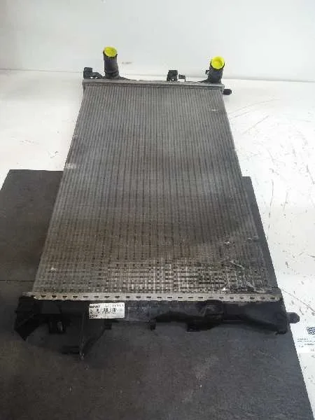 Radiador Agua para Renault Laguna Ii (Bg0)