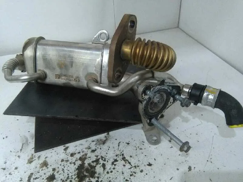 Enfriador Egr para Renault Kangoo