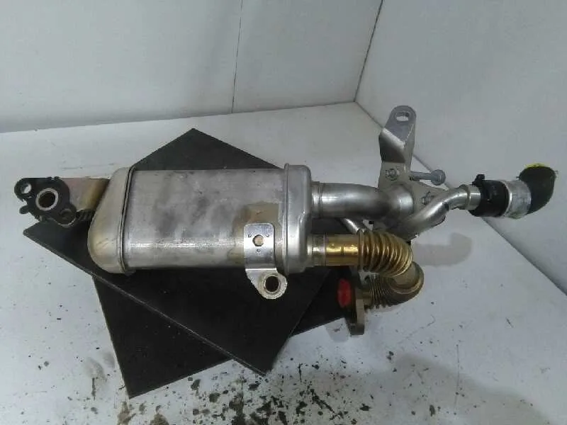 Enfriador Egr para Renault Kangoo