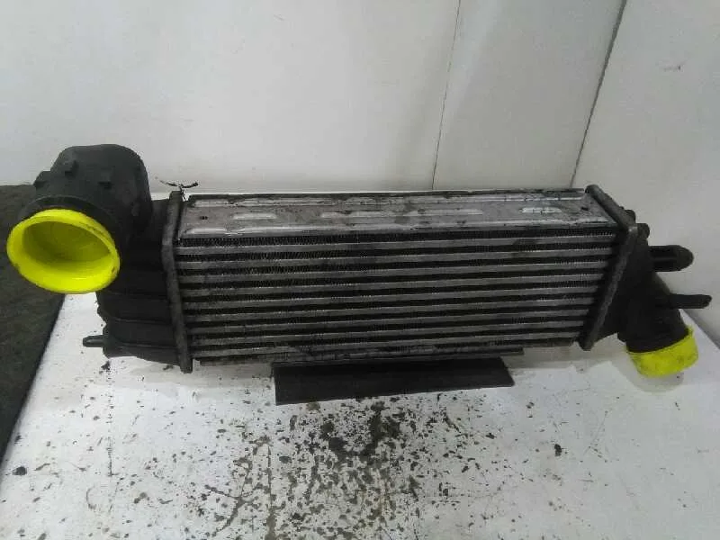 Intercooler para Citroën C8