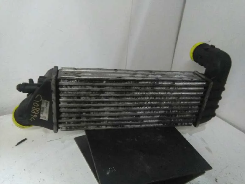 Intercooler para Citroën C8