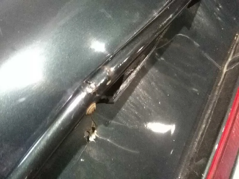 Paragolpes Trasero para Mercury Sable