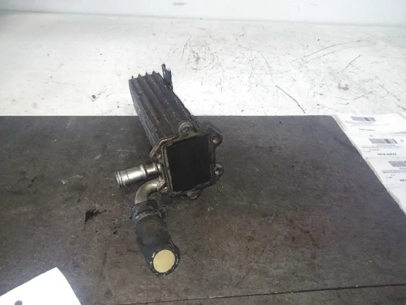 Enfriador Egr para Volkswagen Passat Berlina (3C2)